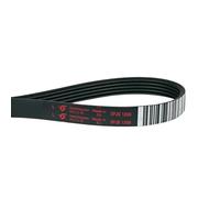 Courroie trapézoïdale 1208 PJ 5 E pour machine à laver comme Indesit C00141664