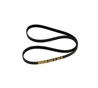 Indesit Courroie d'entraînement pour machine à laver 1046 mm x 8 mm