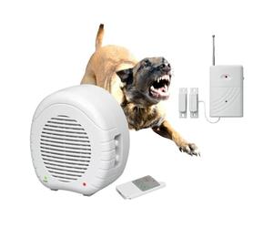 Indexa EW01 + MA80KM Kit de surveillance électronique avec télécommande et détecteur d'ouverture sans fil