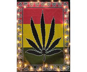 Indian Craft Castle - Affiche murale colorée à motif feuille de marijuana (76 x 102 cm) poster 30x40 inches Multicolore 2