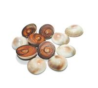 IndianStore4All Lot de 11 chakras Gomati 100 % pur non poli. Pour la paix et la prospérité, chakra Gomti, Energized 20 mm environ