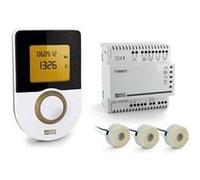Indicateur de consommation d'énergie - TYWATT 1000 - RT 2012 DELTA DORE Blanc G