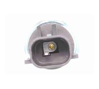 Indicateur de pression d'huile VEMO V33-73-0003