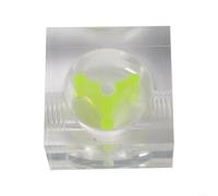 Indicateur de refroidissement à eau transparent avec débitmètre en acrylique et filetage G1/4 pour système de refroidissement liquide PC Surveillance du débit de liquide de refroidissement (C)