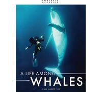 Indiepix Classics: A Life Among Whales [Dvd]