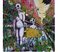 Indigo De Souza Any Shape You Take (Vinyl)