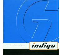 Indigo - Gravity Settles in Time