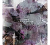 Indigo Mist - That the Days Go By Andnever Come Again