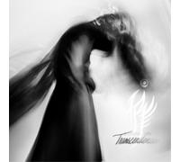 Looking for Transcendence