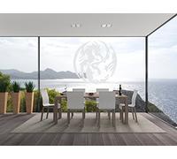 INDIGOS UG - Sticker mural / sticker mural / décoration - dragon yin yang - décoration verre - argent fin - 96x95cm