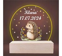 INDIGOS UG - Veilleuse 3D LED - Hérisson - Lampe - Lumière pour enfants - Personnalisée individuellement - Lampe de nuit - Cadeau pour bébés et enfants avec le texte souhaité
