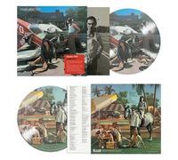 Indiscreet 50th Anniversary Édition Limitée Picture Disc Vinyle