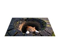 Indoor Entrance Door Mat | Easy-Clean Decoration | 3D Hole Illusion