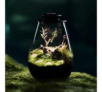 Indoor Growth Lighting - Directional LED Horticulture Fixture, Swivel Stand Photosynthesis Enhancer, Low Power Plant Development Light | Decorative Flora Accent, Miicro Garden Illumination, Aquarium