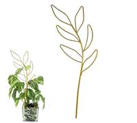 Indoor Plant Trellis, Garden Support Stake, Climbing Stand Frame, Rustproof Metal, Easy Assembly, Space Saving Design, Perfect for Ivy, Vine, Vegetables, Balcony Garden, 12.6x4.33 inches