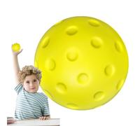 Indoor Training Pickleball Ball, Standard Sized Pickleball Training Silent Ball, Indoor Warm Up Solution for Beginners and Professionals, Use for Living Room, Backyard, Practice, Fitness, Recreation