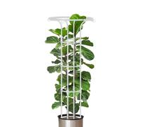 Indoor Trellis | Detachable Garden Obelisk Trellis, Portable Plant Support