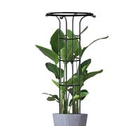 Indoor Trellis | Detachable Garden Obelisk Trellis, Portable Plant Support