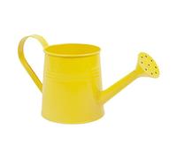 Indoor Watering Can | 1L Metal Watering Can | Garden Water Cans for Home Décor and Gardening