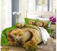 INDREAM Housse De Couette Bête De La forêt Adorable Renard Parures De Lit Animaux Renards,Ensembles De Lit 3/4 PCS (1 Housse De Couette avec 2 Taies d'oreiller Ou Drap) (Single-3PCS,B)