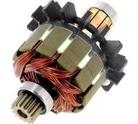 Induit moteur 200216054 - visseuse G