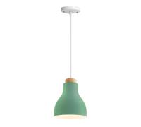 Industrial Color Hanging Lamp, Personality Colorful Lampshade Chandelier, Metal Pendant Lights, Home & Office Decor Light Fixture for Coffee Shop, Bar Counter, Club, Living Room(Green)