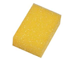 Industrial Quality Supplies Éponge époxy manuelle L150xl100xH50mm dur Quantité:1