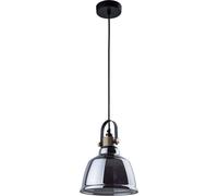 Industrie Suspensions Fumée Verre Noir Rond Stylé à Manger Lampe Zero