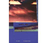 Ine Lamers - The Radiant Screen