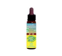 Inebios Fleur de Bach n°13 Gorse - Ajonc Bio 10ml