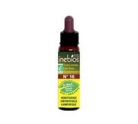 Inebios Fleur de Bach n°16 Honneysuckle - Chevrefeuille Bio 10ml