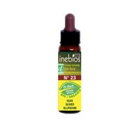 Inebios Fleur de Bach n°23 Olive - Olivier Bio 10ml