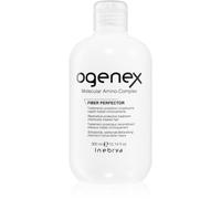 Traitement Protecteur Pour Cheveux Traités INEBRYA Ogenex Fiber Perfector 300ml