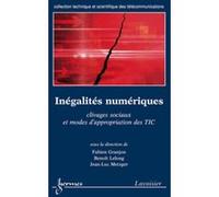 Inégalités numériques : clivages sociaux et modes d'appropriation des TIC Jean-Luc Metzger (Auteur), Benoit Lelong (Auteur), Fabien Granjon (Auteur)