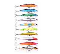 INEOUT Ensemble De Leurres De Pêche Appâts Durs Mini Vairon Flottant Balançoire Appâts Fous Wobblers Artificiels Bioniques Leurres À Manivelle(10pcs)