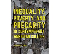 Inequality, Poverty And Precarity In Contemporary American Culture