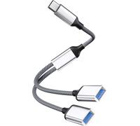 INF Adaptateur Type-C vers double USB 2.0 Argent