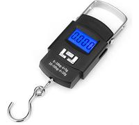 INF Balance suspendue avec crochet 50kg/10g