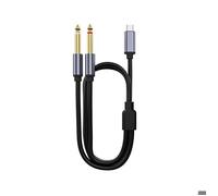INF Câble Audio Type-C vers Double 6.35mm - Connectez vos instruments avec une qualité sonore exceptionnelle 1 m