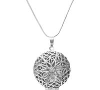 INF Collier en acier inoxydable avec espace pour photo Argent