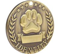 INF Médaille d'identification en acier inoxydable doré avec fermoir en fer à cheval