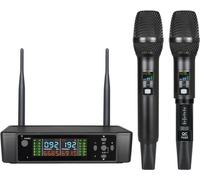 INF Système de microphone sans fil double pour la scène et la maison