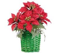 Composition florale de Noël avec poinsettias et panier tissé