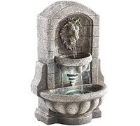 infactory Fontaine dambiance avec LED et Pompe - Fontaine au Lion
