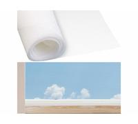 Infactory Moustiquaire en fibre de verre - 100 x 250 cm - Blanc