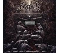 Infectology - DEIFICATION OF ANTHROPOPHAGICAL RITES