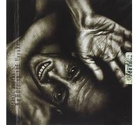Infernal Poetry - Beholding the Unpure