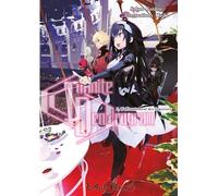 INFINITE DENDROGRAM VOL 03 : L'affrontement des Superiors
