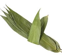 Infinitely Great Home Decor Center 100 feuilles de bambou naturel séché pour zongzi riz boulettes collantes