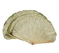 Infinitely Great Home Decor Center 500 g Feuilles de lotus séchées pour la cuisson du riz asiatique et des emballages alimentaires